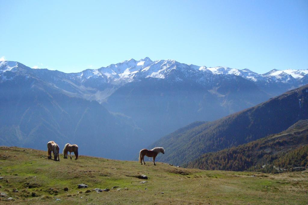 Landhaus Bachler Brixen im Thale Exteriör bild