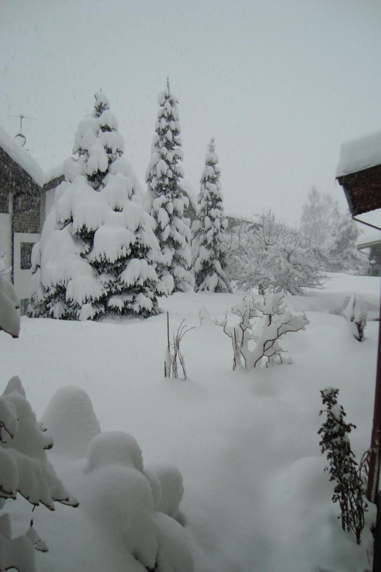 Landhaus Bachler Brixen im Thale Exteriör bild