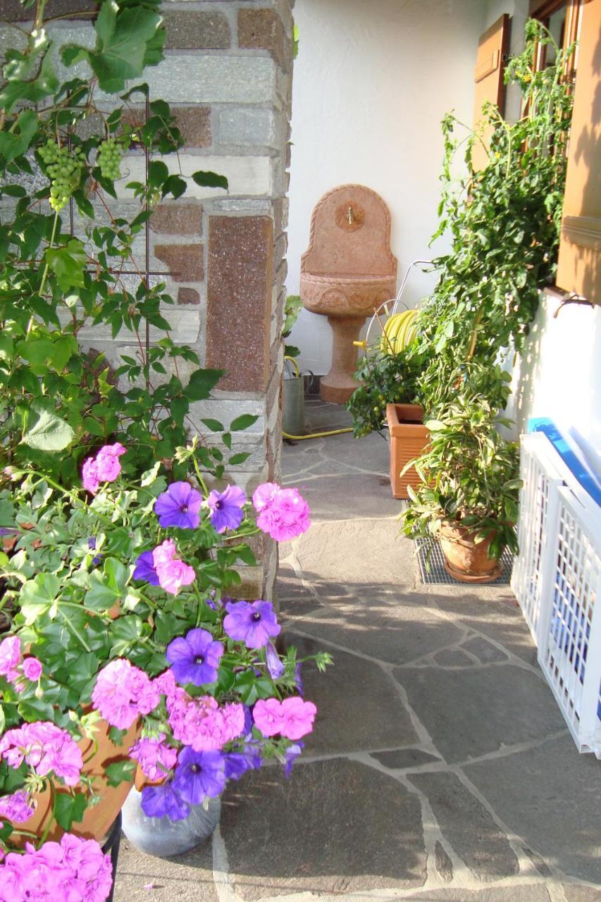 Landhaus Bachler Brixen im Thale Exteriör bild